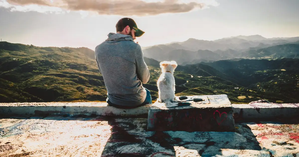 A man and his small white dog sitting together and looking out over the mountains